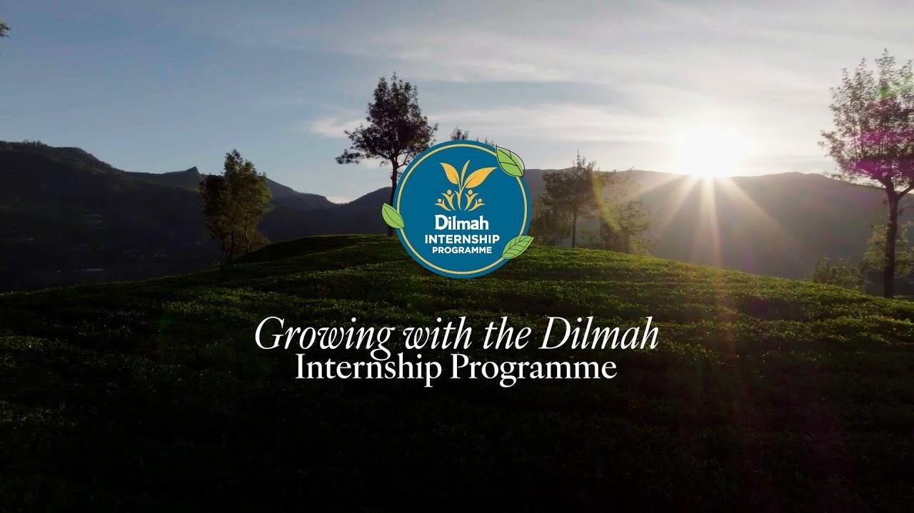 Dilmah Internship Programme 2025