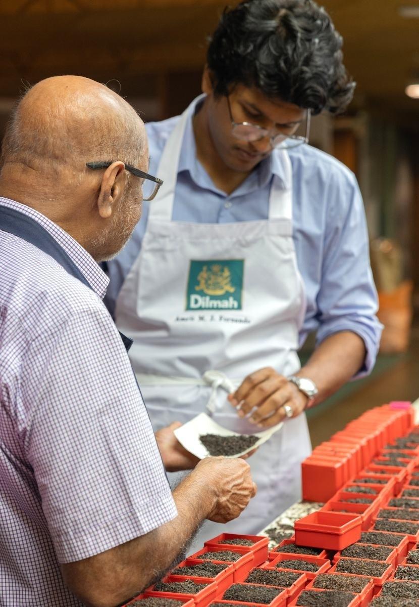 Dilmah tea tasting expert examining tea leaves in a warmly lit tasting room.