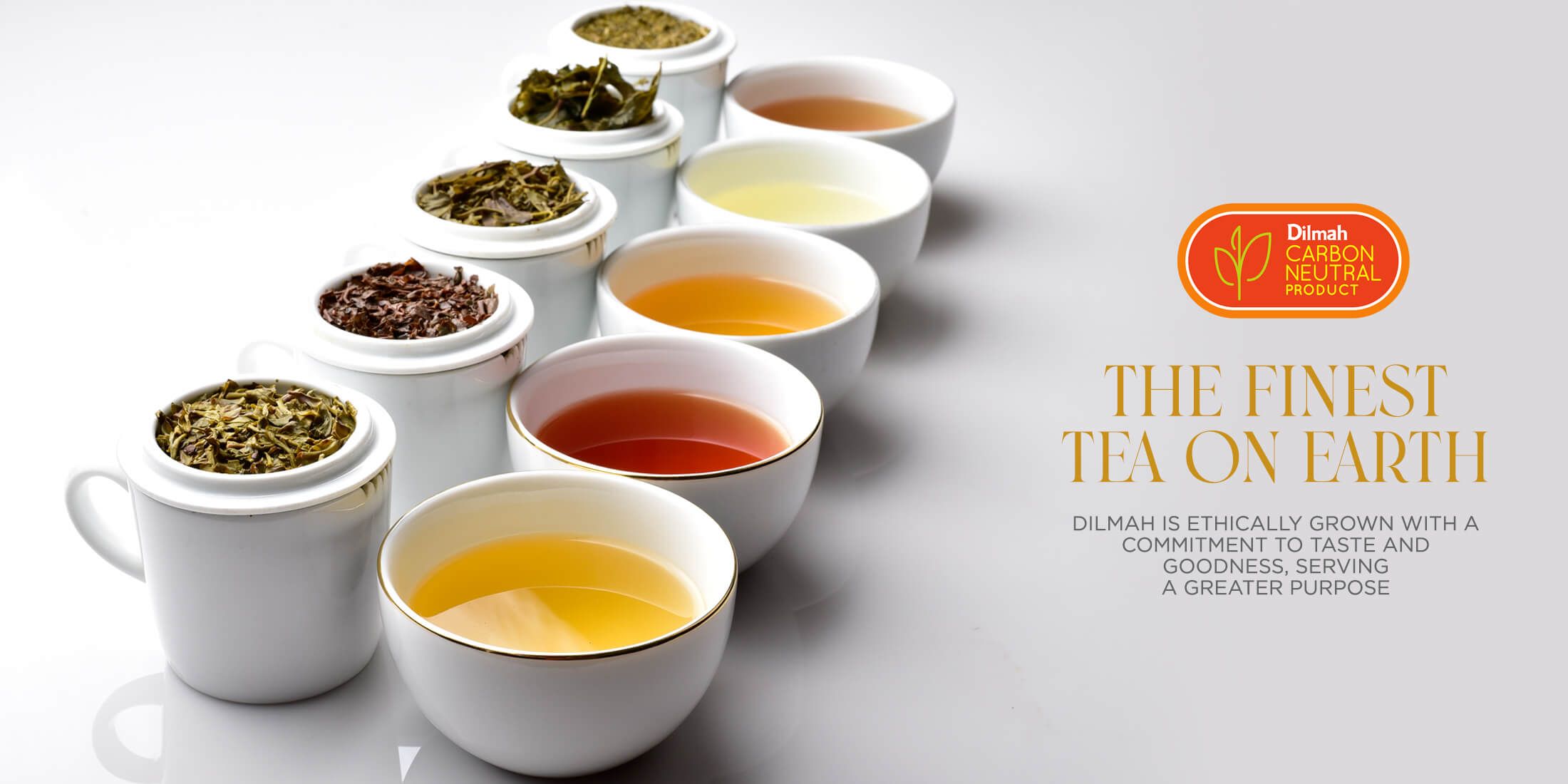 Dilmah tea image
