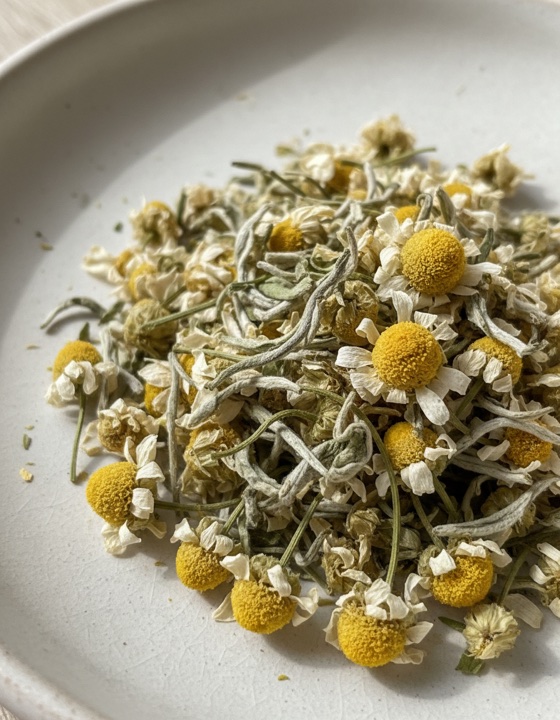 Alpine Meadow Chamomile Flowers