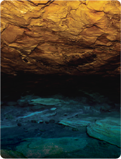 Cave Biodiversity in Sri Lanka