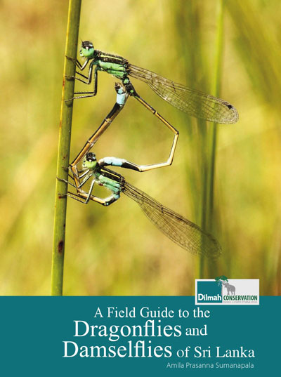 A field guide to the Dragonflies and Damselflies of Sri Lanka book