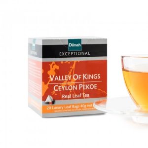 Exceptional Valley of Kings