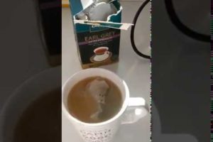 Mikayla Ryan From New Zealand Raises a Cup of Kindnes
