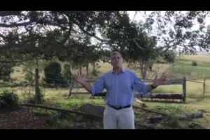 A ‘Neigh-tieth’ Birthday Surprise Greeting from Australia