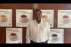 Birthday wishes to Dilmah Founder from Roshan Rajadurai