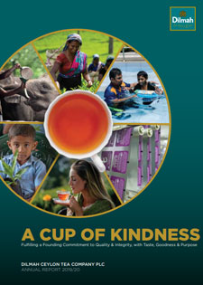 Sustainability report 2019-2020