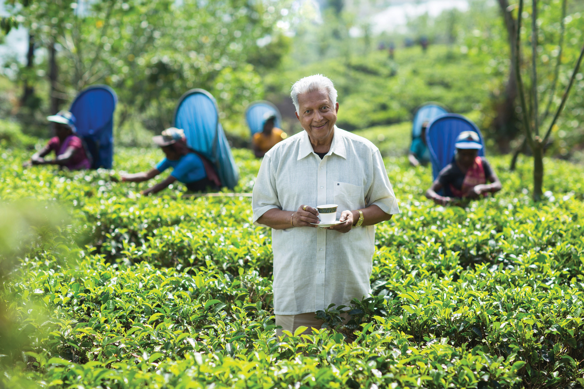 Dilmah Founder Merrill J. Fernando - Tasting Tea at a Dilmah Tea Garden. Tea gatherers.