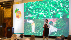 An Appreciation of Real Tea