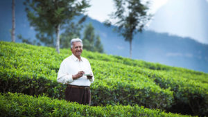 An open letter to lovers of tea: Do you know what’s in your cuppa?