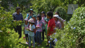 An urban ‘butterfly experience’ in Sri Lanka