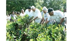 Creating an Estimated Ecological Wealth of USD 382,362 through a Nature Corridor