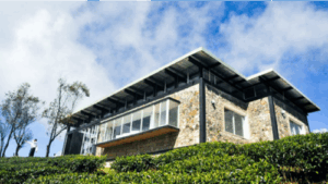 Dilmah Tea: A Most Admired Company in Sri Lanka – 2021
