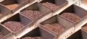 Dilmah Tea on CNA Global
