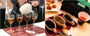 Dilmah – School of Tea