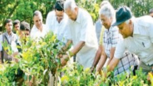 Enhancing ecological connectivity