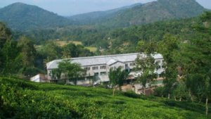 Kudos for Kahawatte Plantations’ Endane Special BOP 1 at Leafies International Tea Academy Award 2023