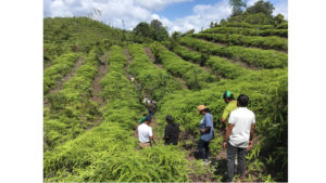 Partnering for ‘the Green Normal’