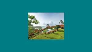 Retail discount culture worries top tea brand, Dilmah