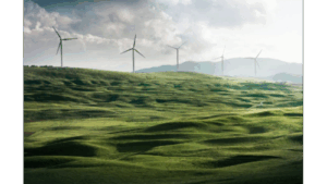 Sustaining a future: Brands that truly understand sustainability