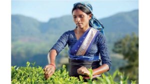 The other side of the coin – price, value and livelihoods as building blocks for a new normal