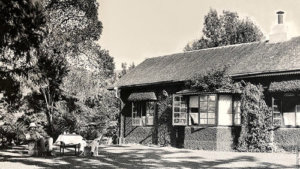 www.historyofceylontea.com: A tribute to both the brew and the industry
