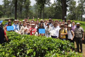 Dilmah School of Tea field trip 3