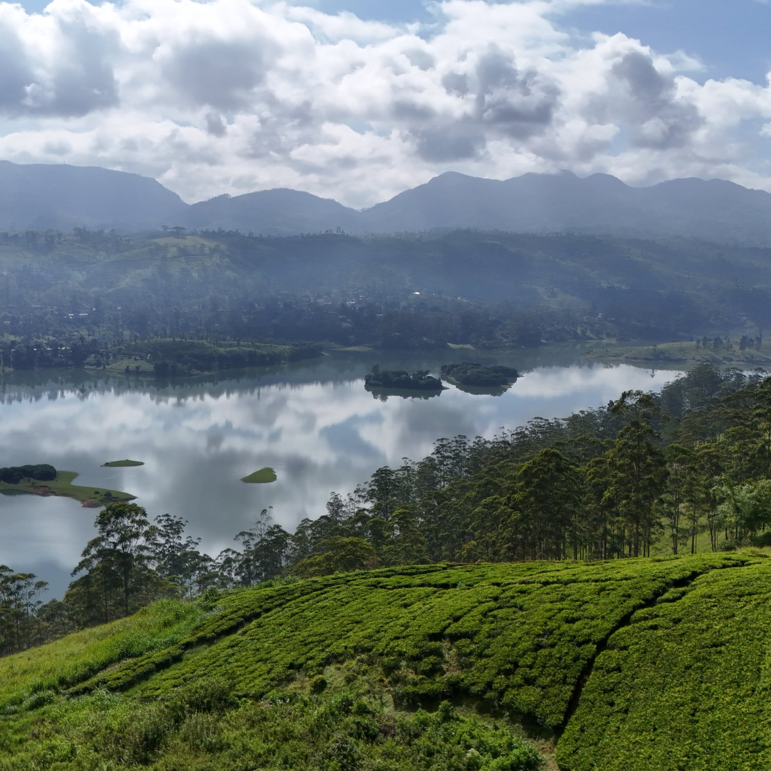 Sri Lanka Dilmah Tea Estate WT river tea garden mountains clouds trees