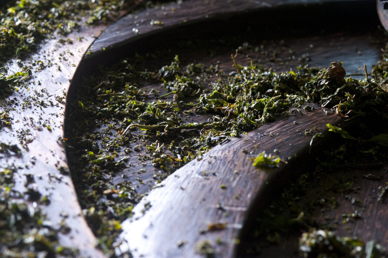 Tea Manufacturing - Rolling
