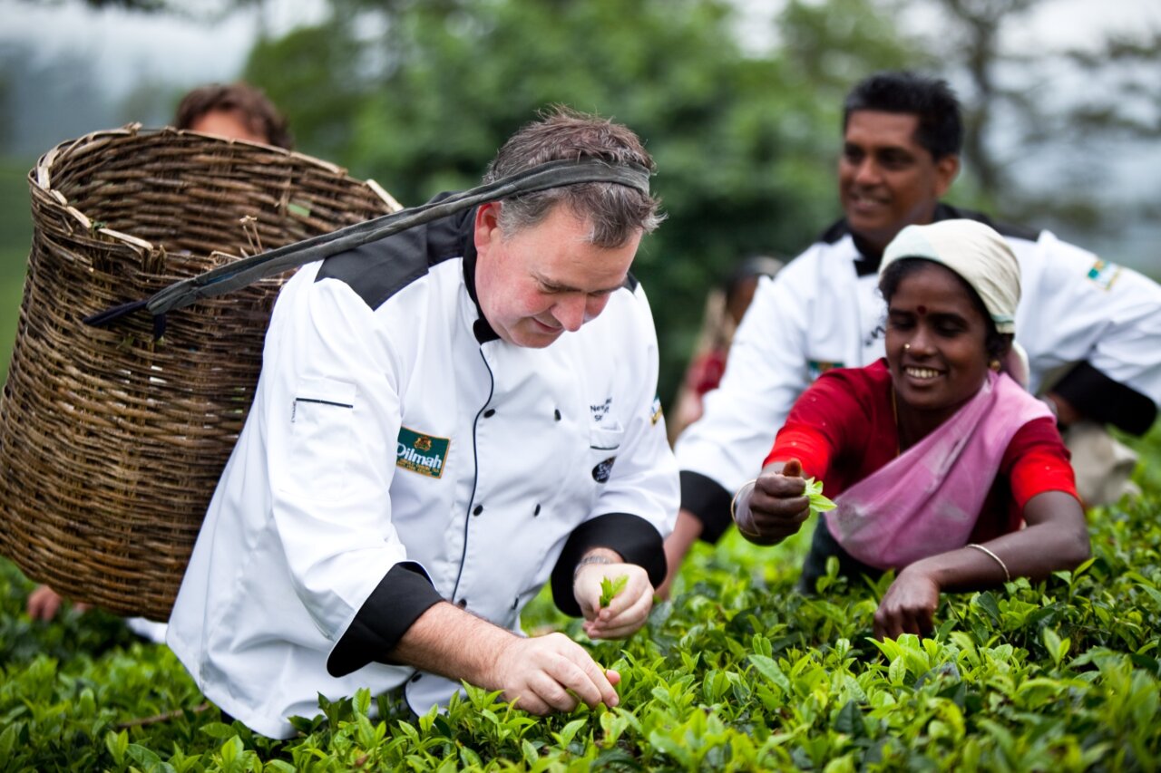 Chefs practice tea picking instructed by worker