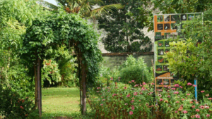 The Dilmah Butterfly Garden; not what it seems