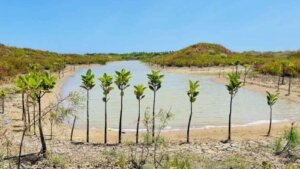 Dilmah Strengthens Sri Lanka’s Water & Ocean Stewardship