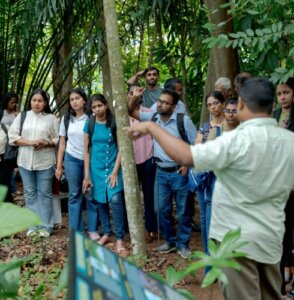 Dilmah launches Grey2Green: Call to greening urban spaces
